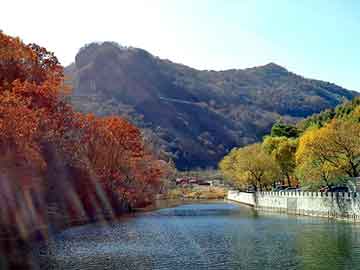 防疫最新地圖，揭示全球疫情態(tài)勢與應(yīng)對策略